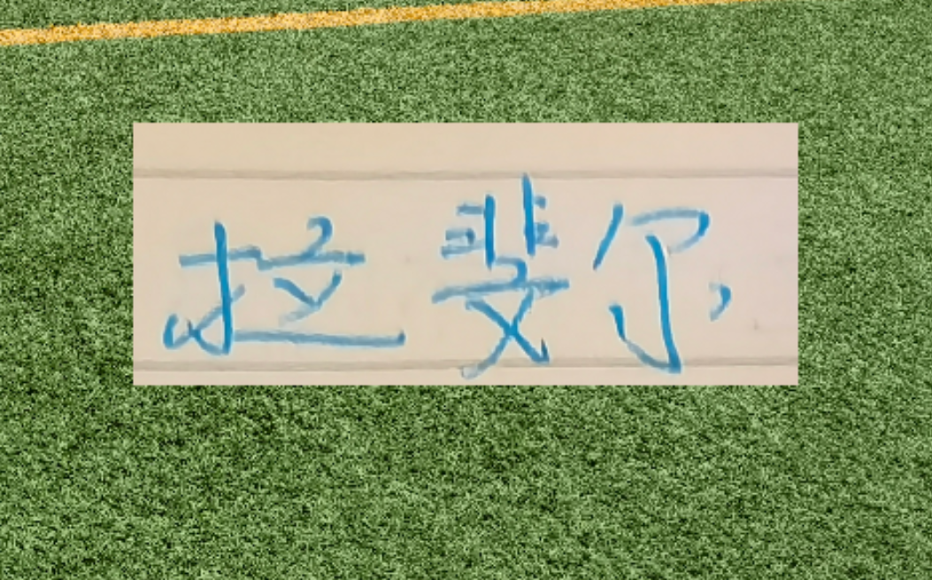 星空体育官网-第一个赛季马莱莱进15个 路易斯21个 申花两条大鱼能进几个？